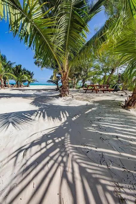 Casa vacanze Rancho Pepo - Sian Ka'An Biosphere Beach House Villa Tulum