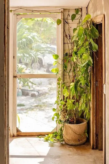Rancho Pepo - Sian Ka'An Biosphere Beach House Villa Tulum Casa vacanze